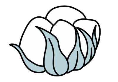 Fiore